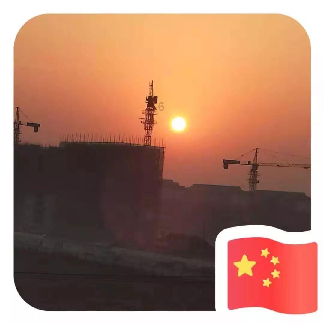 铁马鞭冬天黄叶掉叶怎么回事？